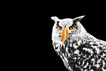 Owl with pen nib as beak