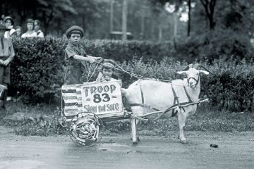 Goat pulls young boys’ cart in the Tacoma festival