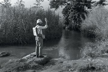 Colonial explorer