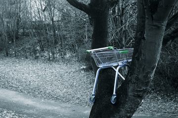 An abandoned supermarket trolley stuck in a tree An abandoned supermarket trolley stuck in a tree