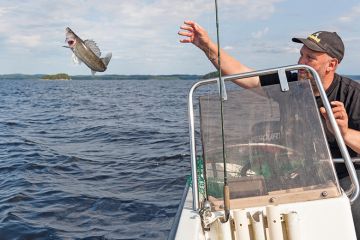 Man throwing fish back