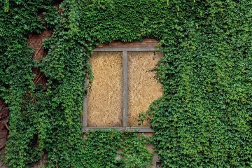 Cover image 6 June 2024