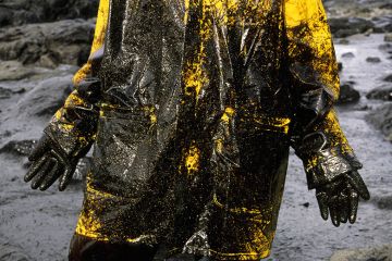 Oil slick caused by the "Prestige" ship. Galicia. Volunteer cleaning the beach