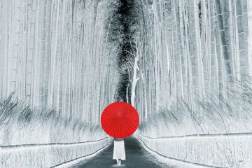 Cover image 18 August 2022