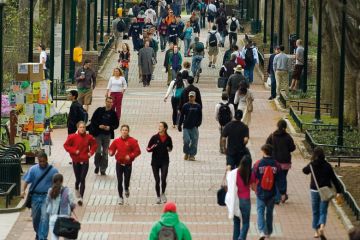 people on a path