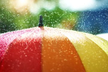 Umbrella