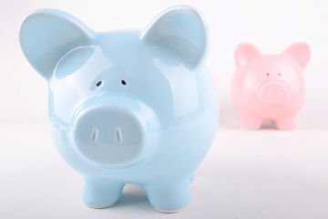 Wage inequality illustrated by blue and pink piggybanks Wage inequality illustrated by blue and pink piggybanks