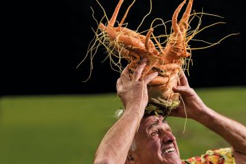 Man inspecting a carrot as a metaphor for Is the REF still useful?