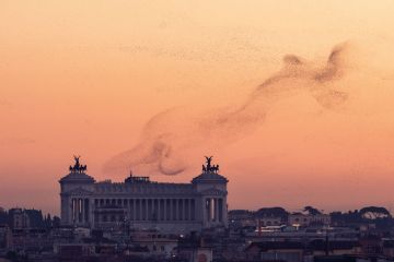 Rome skyline with Vittorio Emanuele Monument and flocks of starlings at winter solstice, Italy to illustrate Giorgio Parisi  who studies the starlings