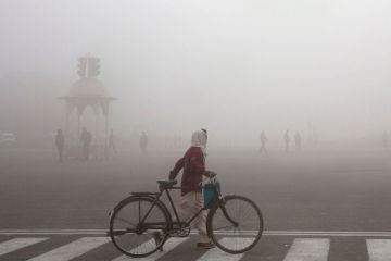 A cyclist amidst morning smog in New Delhi to illustrate ‘Deeper malaise’ threatens future of pan-Asian university