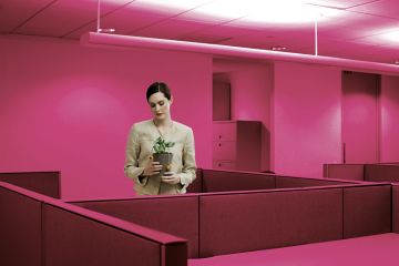 Businesswoman in office holding a house plant to illustrate Declining self-determination is eroding academic motivation