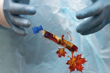 Montage of the doctor dropped the damaged blood test tube with Canada shape leaf falling out of it to illustrate Is Justin Trudeau failing Canadian science?