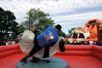 Texas Snake Handler falls off of a carnival ride o illustrate One year in, how is the University of Austin faring?