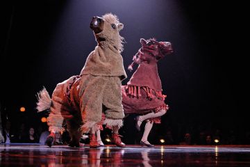 A couple of pantomime horses to illustrate Cost ‘not a stumbling block’ for Adelaide-UniSA merger