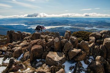 Montage of a Tasmanian devil on the landscape of Mount Wellington in winter season of Hobart, Tasmania state of Australia to illustrate HE in Tasmania: devilishly difficult to get right