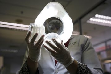 lab glove hands test holding petra dishes_getty.jpg