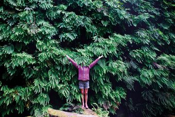 Woman hides her face in plant Woman hides her face in plant