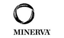 Minerva logo Minerva logo