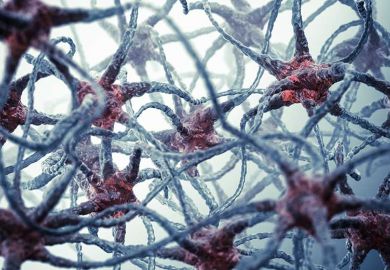 neurons neurons