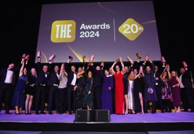 THE Awards 2024 winners THE Awards 2024 winners