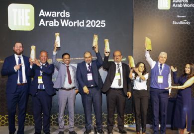THE Awards Arab World 2025 winners THE Awards Arab World 2025 winners