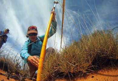 A female ecologist taking measurements in the Outback