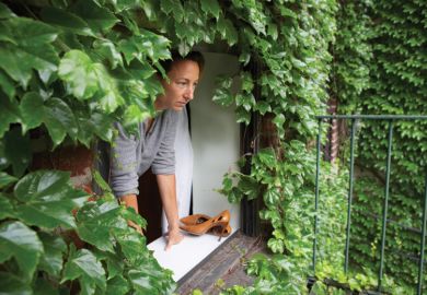 A woman looking out of an ivy-covered window A woman looking out of an ivy-covered window