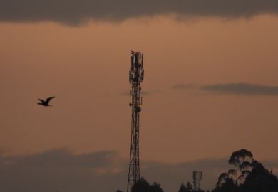 A bird flies past a telecommunication mast at dusk.