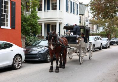 A view of a man in a Carriage horse in Charleston, South Carolina