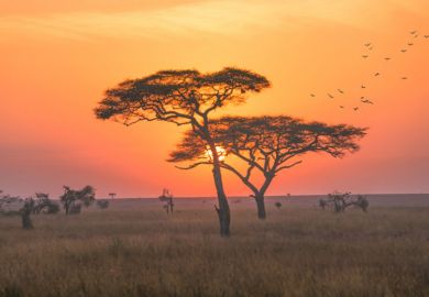 african sunrise african sunrise