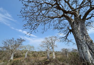Angola countryside