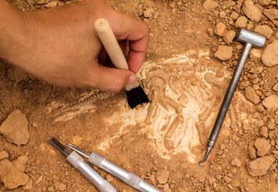 Archaeology Archaeology