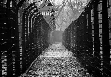auschwitz-fences