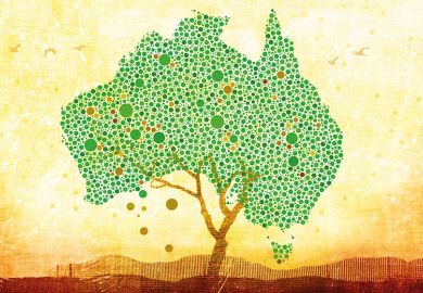 australia-tree australia-tree