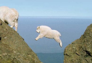 Baby mountain goat jumping a gap Baby mountain goat jumping a gap