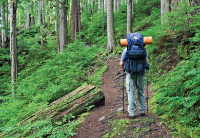 Backpacker hiking in forest Backpacker hiking in forest
