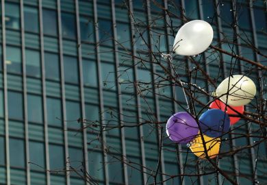 Balloons caught in tree