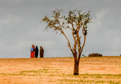 The barren land is taken over by the Sahara desert in Chad, where farmers and herders are pitted against each other over diminishing pasture and resources The barren land is taken over by the Sahara desert in Chad, where farmers and herders are pitted against each other over diminishing pasture and resources. As an illustration of how UK cuts to research aid will harm it's reputation