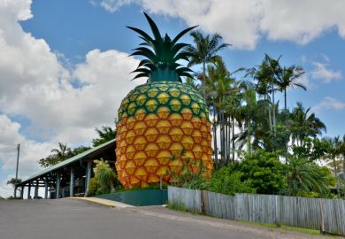 Big Pineapple in Woombye