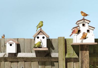 bird-houses