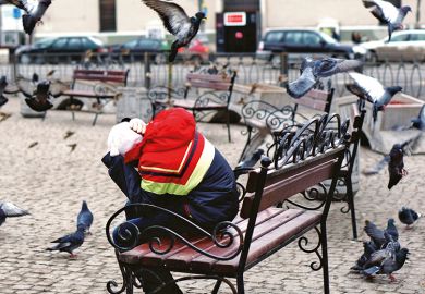 Pigeons attack