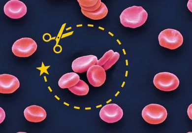 Red blood cells Red blood cells