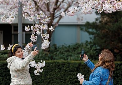 two women take photos with spring blossoms