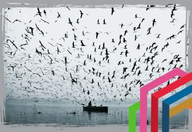 Boat with flock of birds around it to suggest stewardship