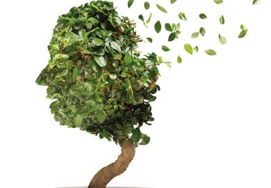 A bonsai tree with its leaves flying into the air A bonsai tree with its leaves flying into the air