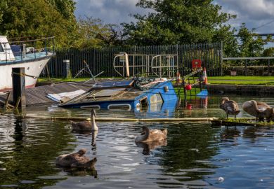 Bowling, West Dunbartonshire, Scotland, UK - September 18, 2023 Swans in front of a sunken boat in the harbour