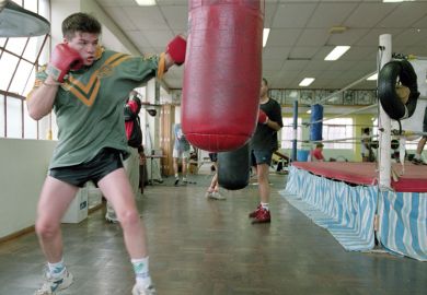 Boxer