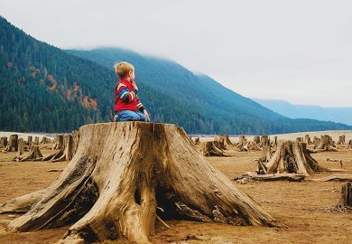 Boy sitting on tree stump