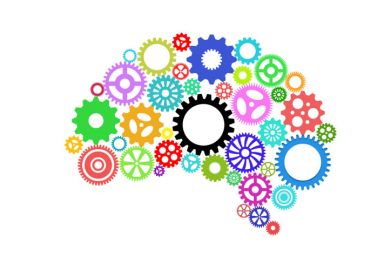 brain composed of cogs