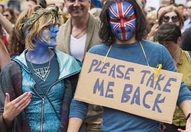 British Remainers